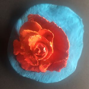 Rose 001, Copyright © VG Bild-Kunst, Bonn 2026.